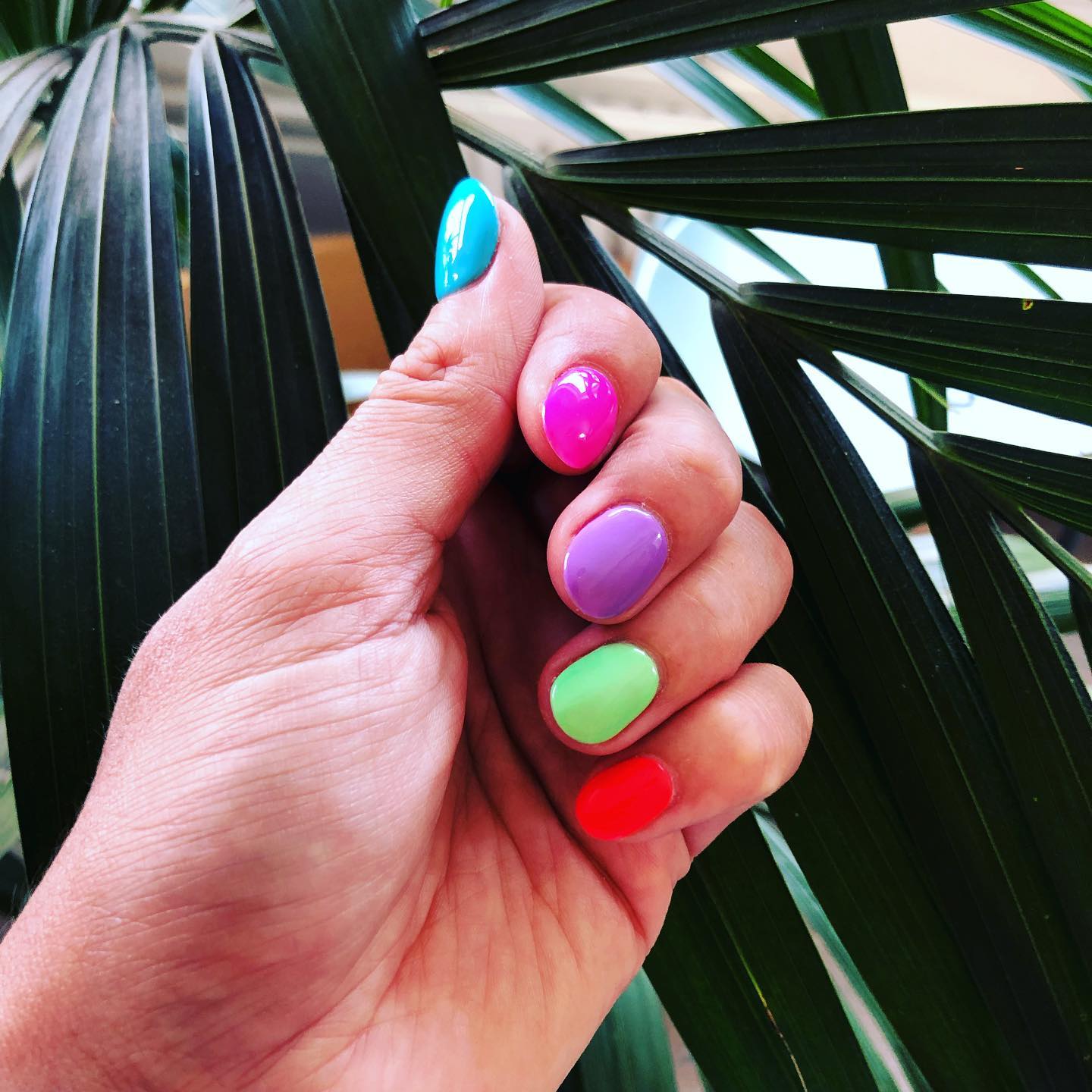 Korte nagels in blauw, roze, paars, groen en rood voor een palmblad